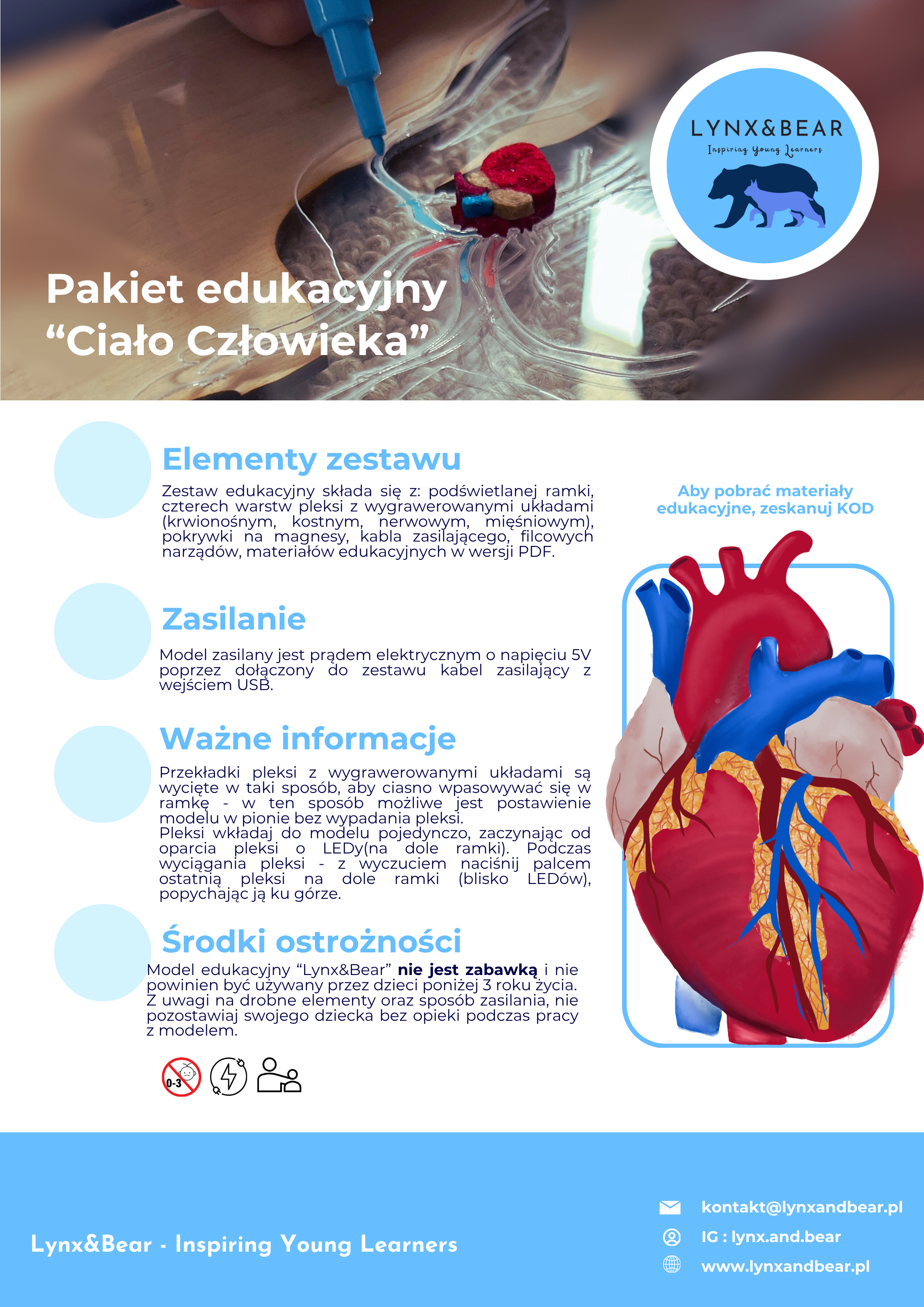 Podświetlany Model Człowieka