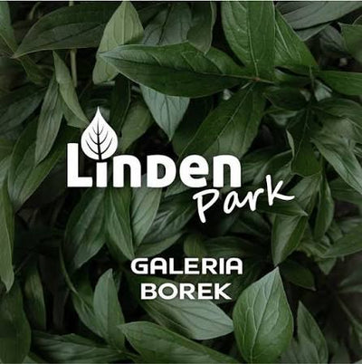 Logo 15
